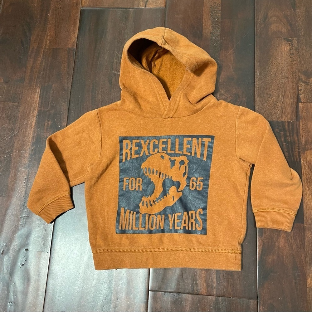 H&M Rexcellent Dinosaur Hoodie Boys 2T Brown